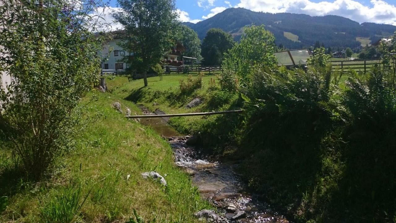 Haus Hubertusheim Apartamento Schladming Exterior foto